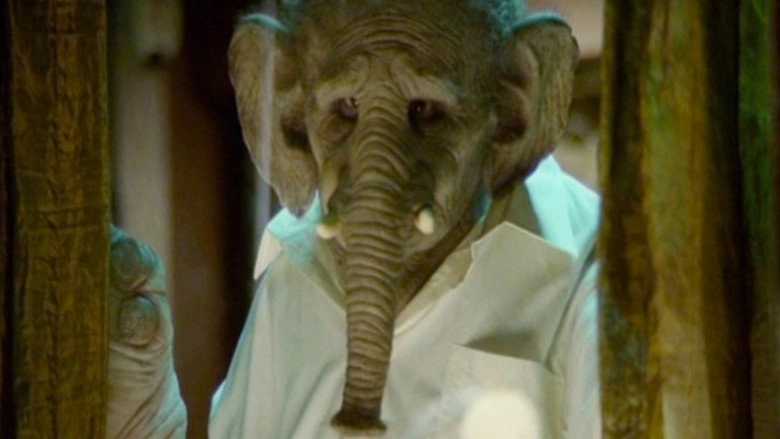 Elefante (2011)