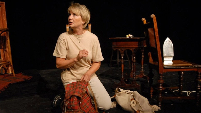 Můj báječný rozvod (2008)
