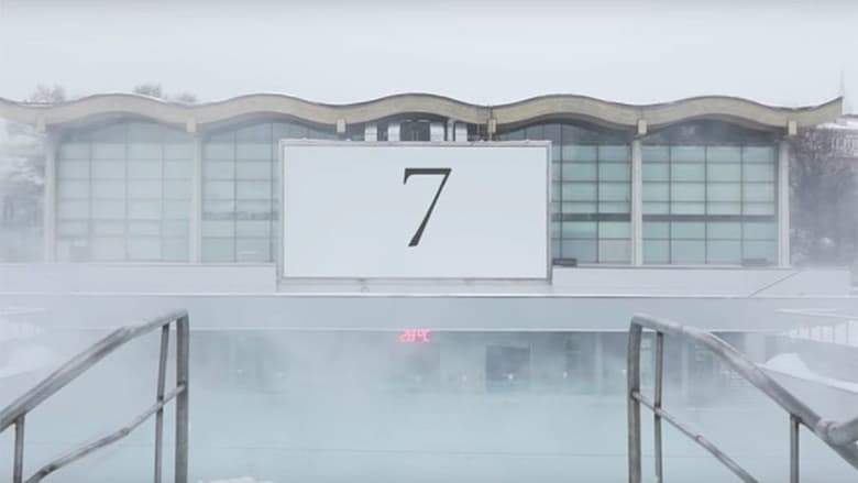 7 (2019)