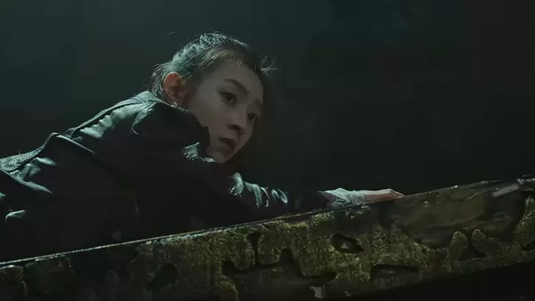 Tang Dynasty's Dragon Coffin And Phoenix Gall (2018)
