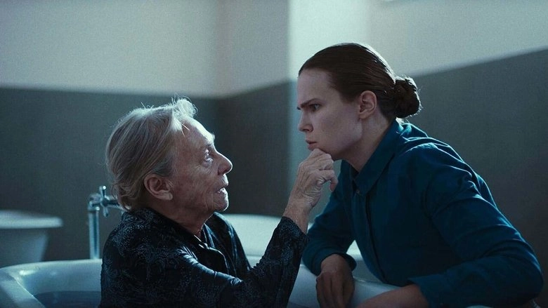 Dove Cadono Le Ombre (2017)