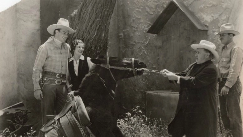 Ride Him, Cowboy (1932)