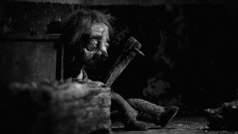 Canis (2013)