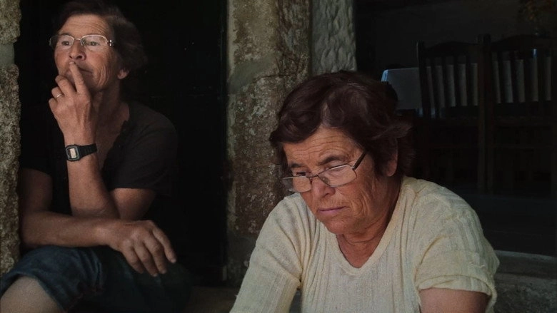 The Life We Know (2020)