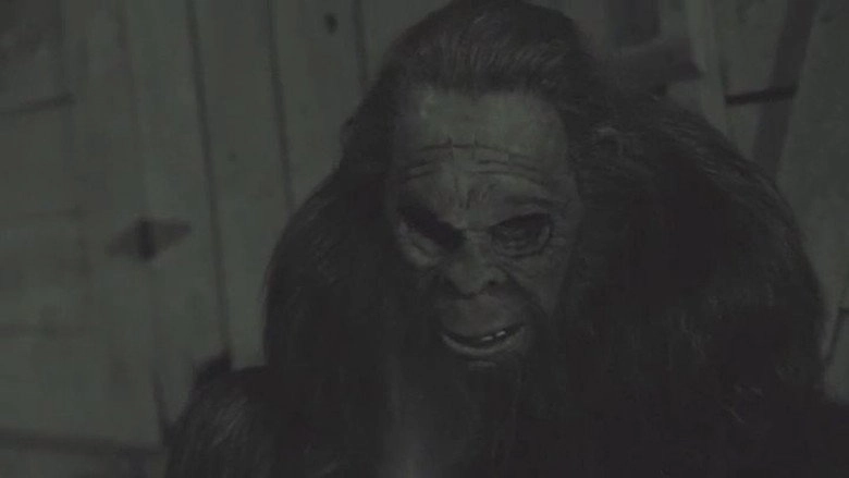 Something In The Woods (2016)