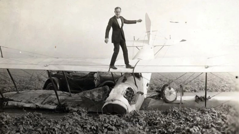 The Skywayman (1920)