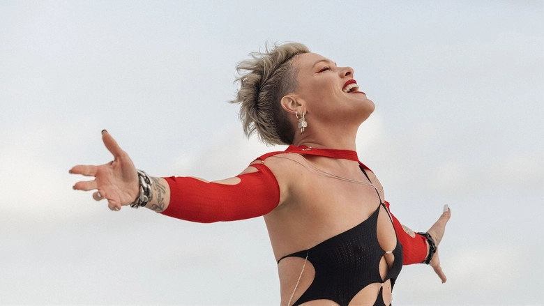 P!NK - Mein Leben In Songs (2023)