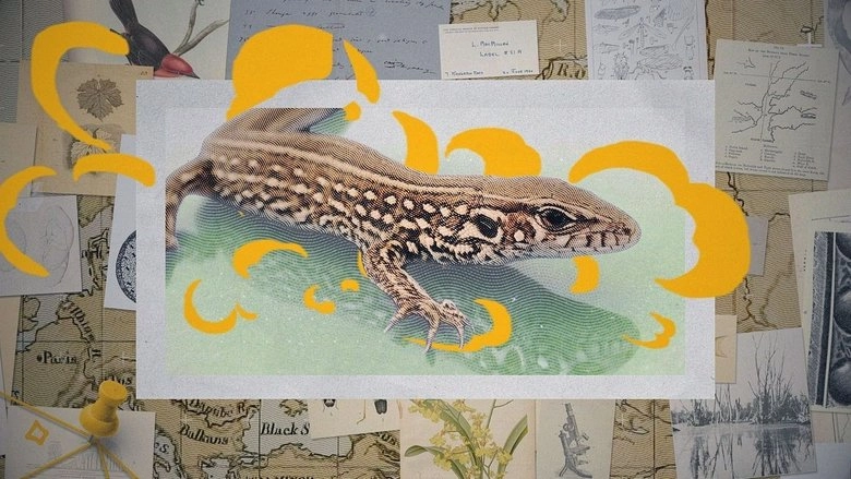 Darwin Express - Les Nouveaux Defis De L'evolution (2025)