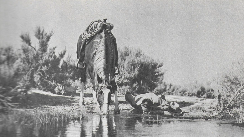 Texans Never Cry (1951)