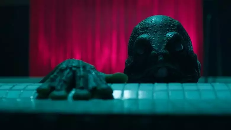 Stranger (2019)