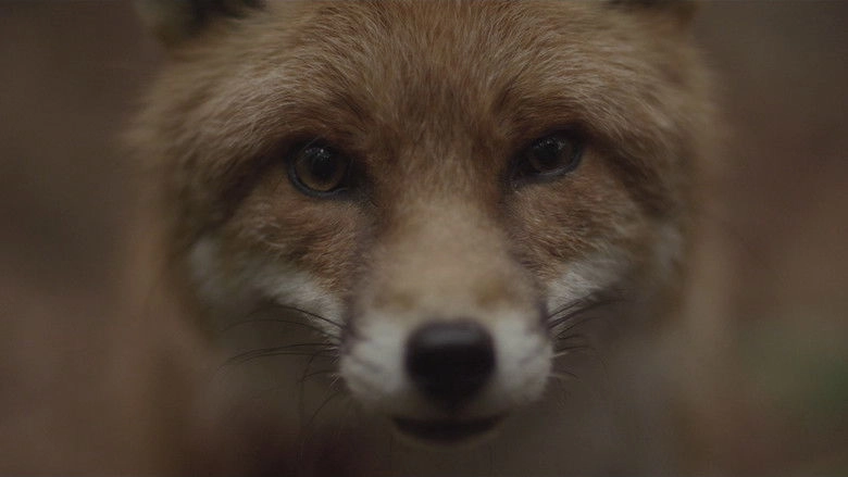 Sigur Ros: Ekki Mukk (2012)