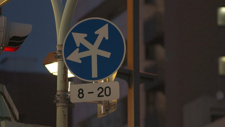 And Who Taught You To Drive? (2012)