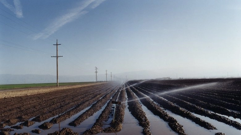 El Valley Centro (1999)