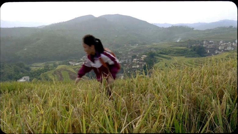 Caijin (2012)