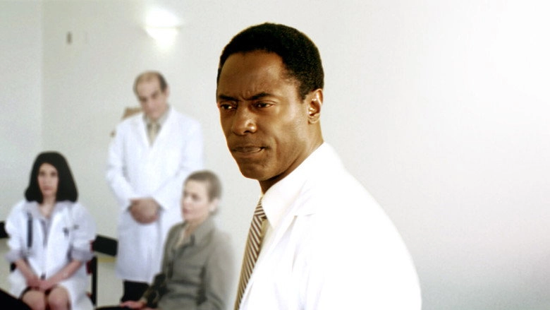 Doctor Bello (2013)
