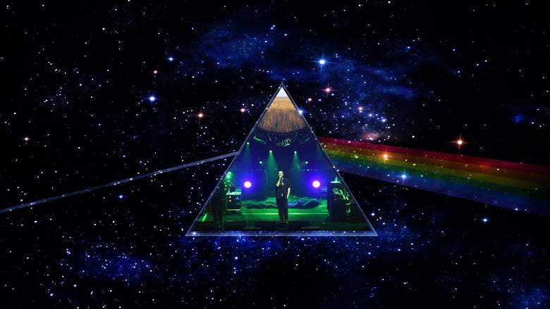 Pink Floyd: Momentary Lapses - The True Story Of Pink Floyd (2010)