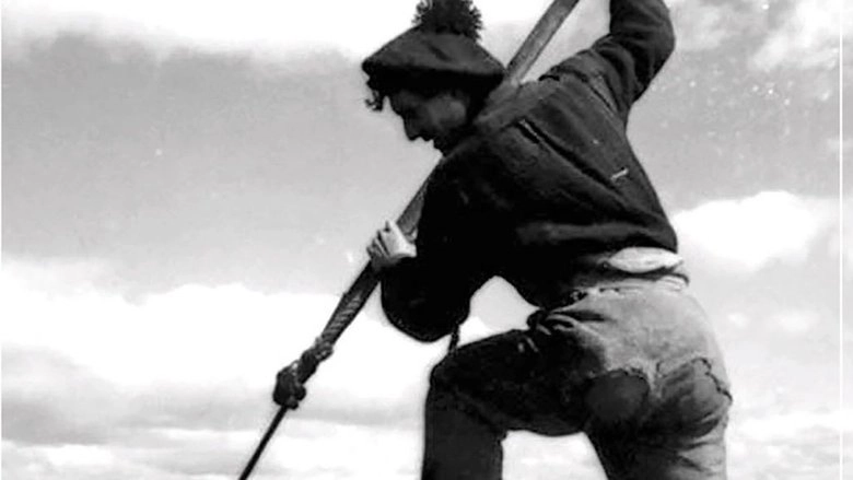 A Boatload Of Wild Irishmen (2010)