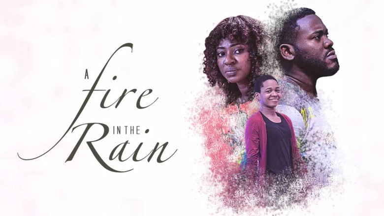 A Fire In The Rain (2017)