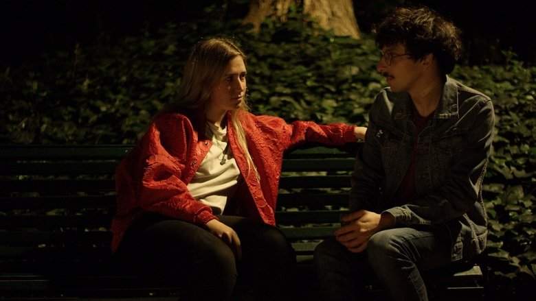 In The Dark Park (2019)