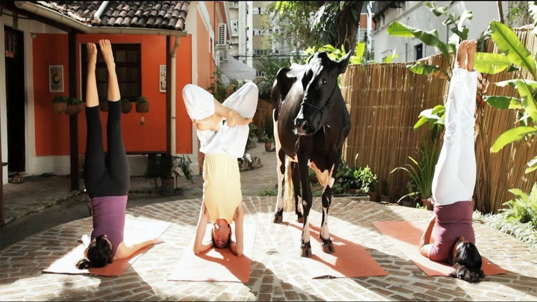Animal Politico (2017)
