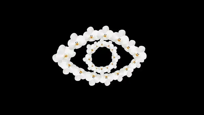 Orchid Eye (2023)