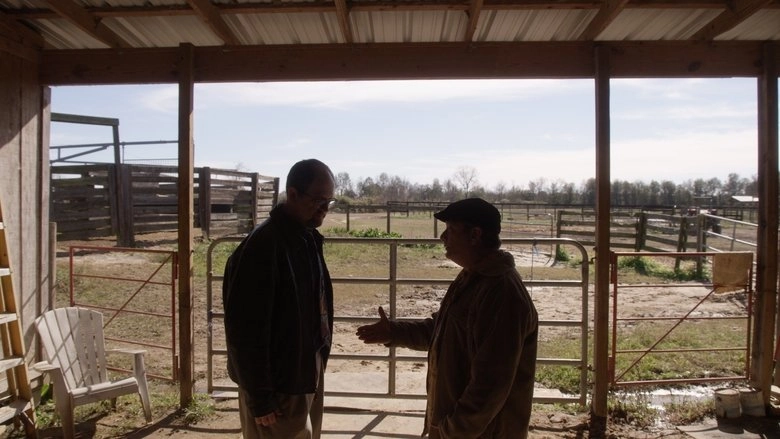 The Fiddling Horse (2019)