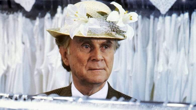 Attention, Papa Arrives! (1991)