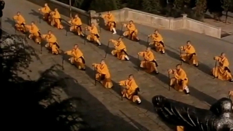 Shaolin Kung Fu (1994)