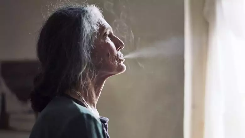 The Disappearance Of My Mother (2019)