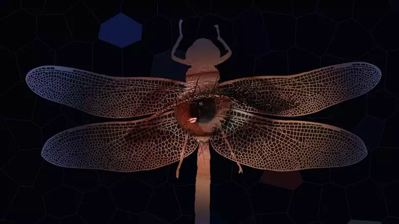 Libelula (2022)
