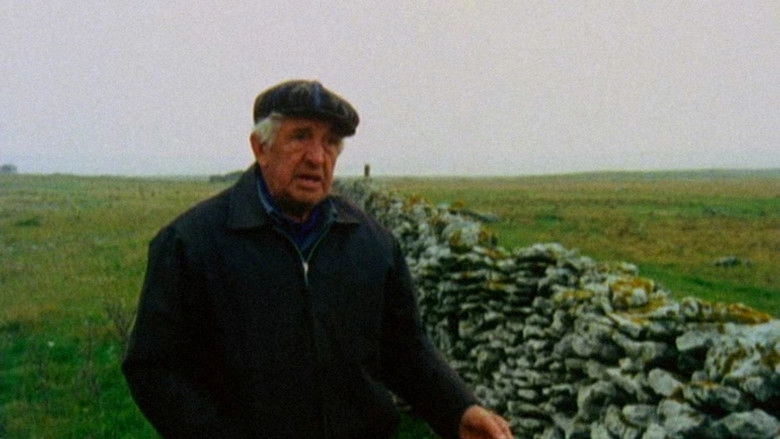 Faro Document 1979 (1979)