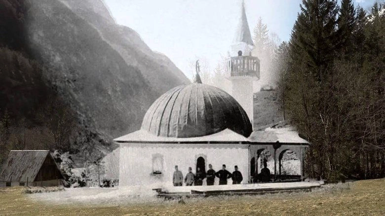 Polmesec Nad Planikami (2013)