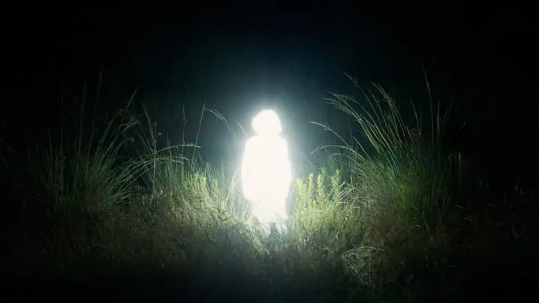 Chronicles Of A Wandering Saint (2024)