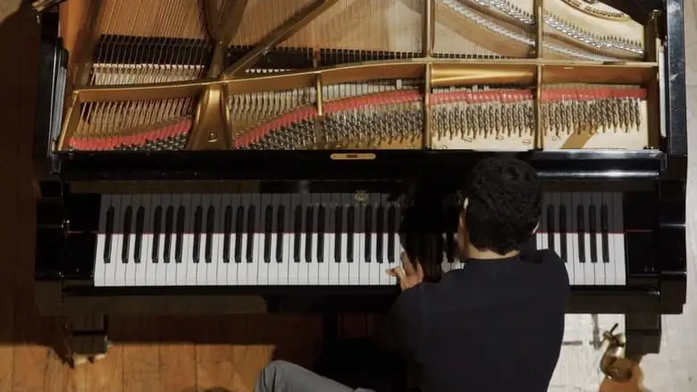 Concierto Para Otras Manos (2024)