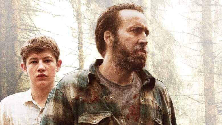 Joe (2014)