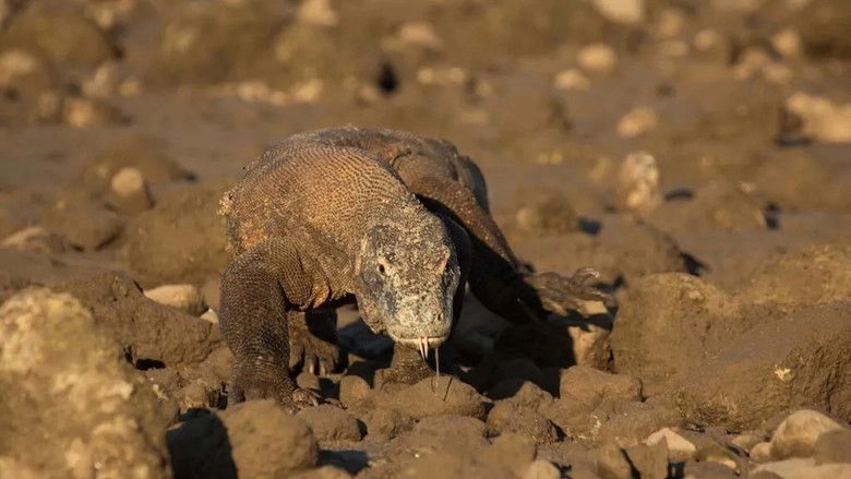 Day Of The Dragon (2024)