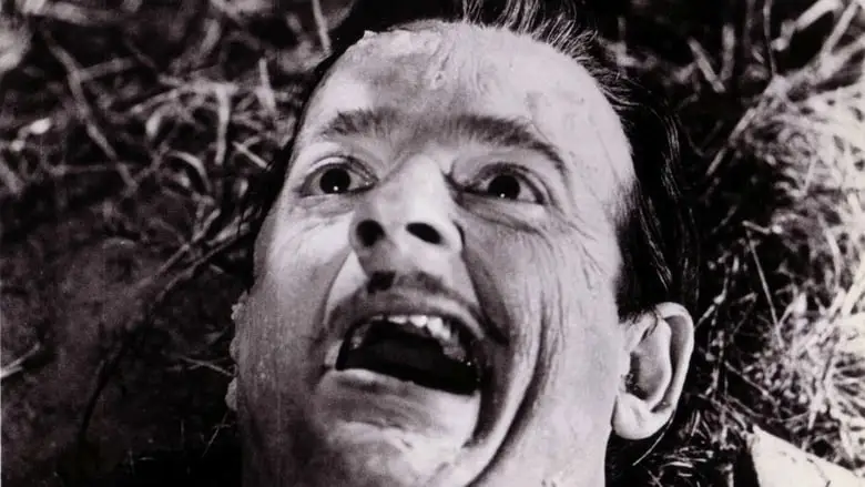 Monster A Go-Go (1965)