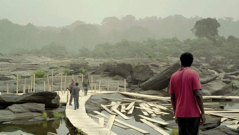 Sleeping Sickness (2011)