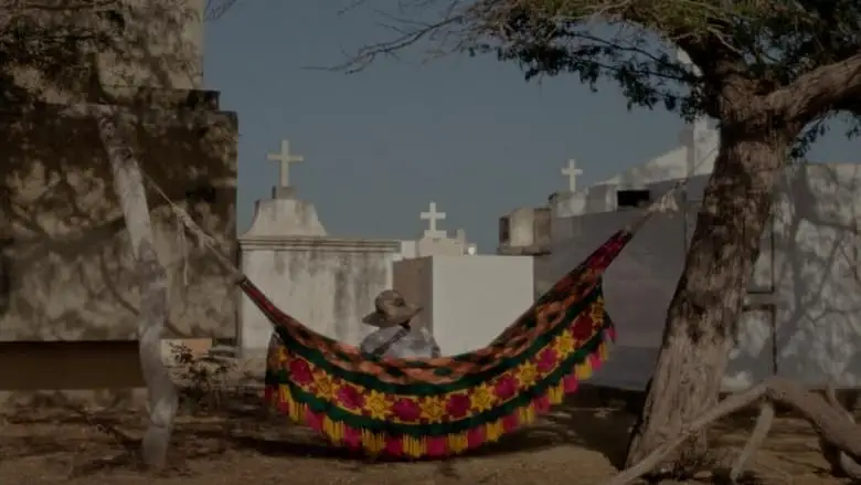 Dreams Travel With The Wind (2024)