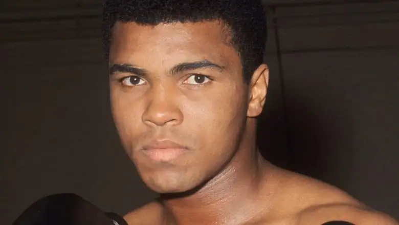 Float Like A Butterfly, Sting Like A Bee (1969)