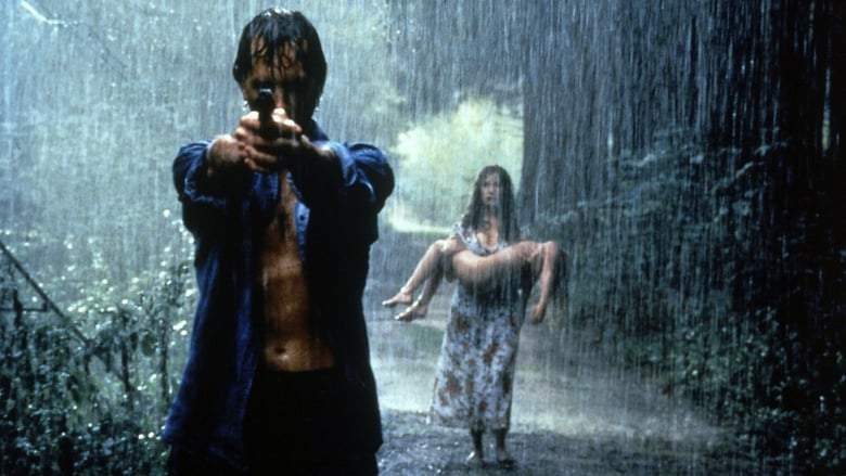 The Cold Light Of Day (1996)
