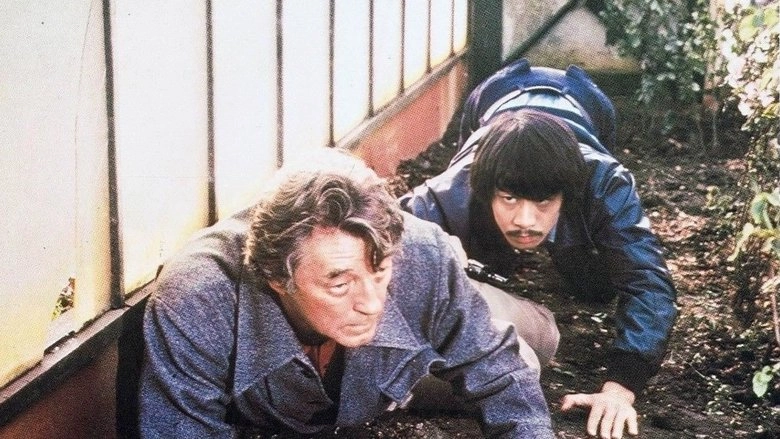 The Amsterdam Kill (1977)