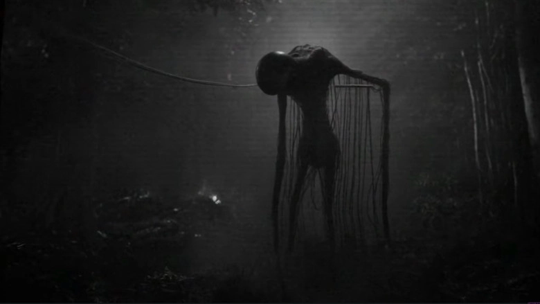 Tribe (2025)