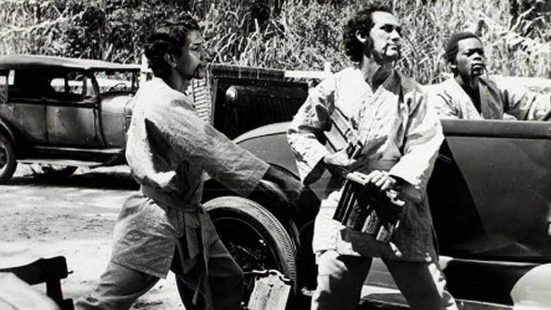 Robin Hood, O Trapalhao Da Floresta (1974)