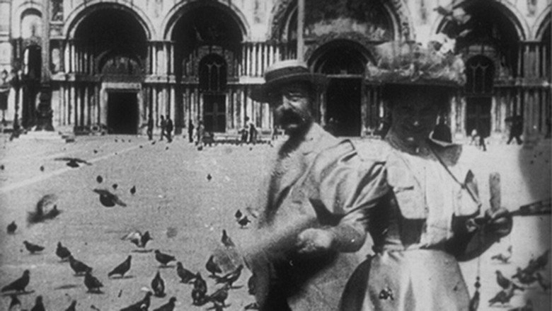 Pigeons Sur La Place Saint-Marc (1896)