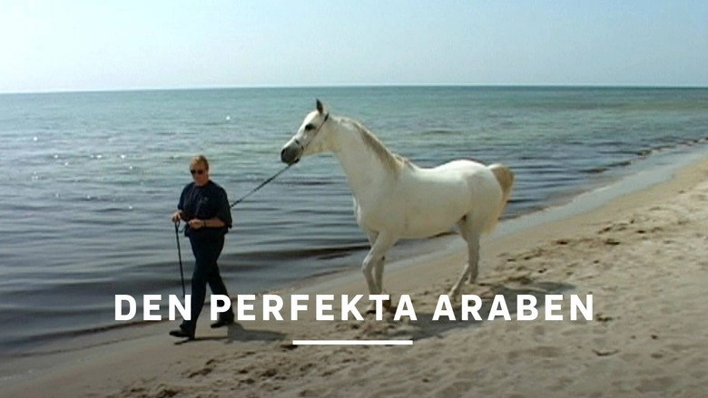 Den perfekta araben (2004)
