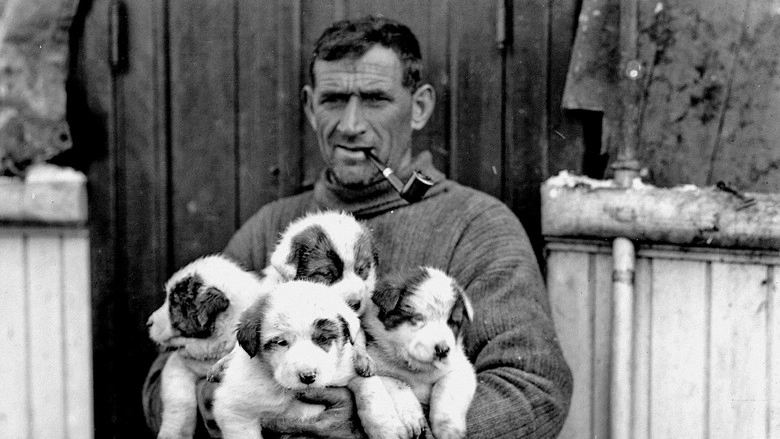 Tom Crean: Antarctica's Forgotten Hero (2002)