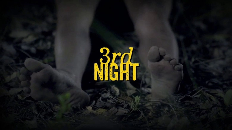 3rd Night (2017)