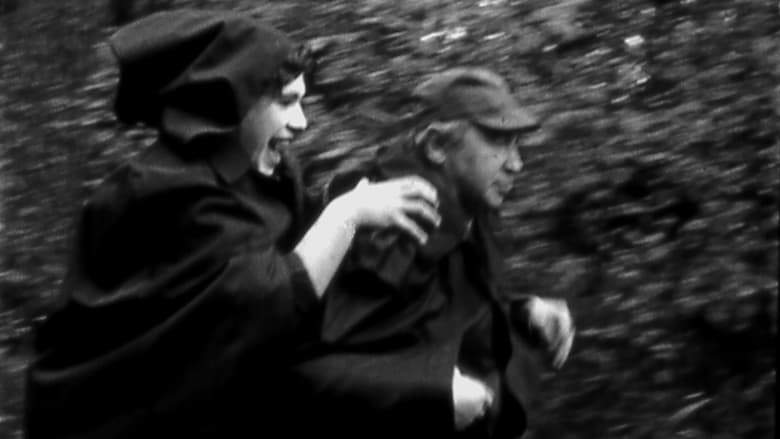 The Bigmoon Nights (1991)