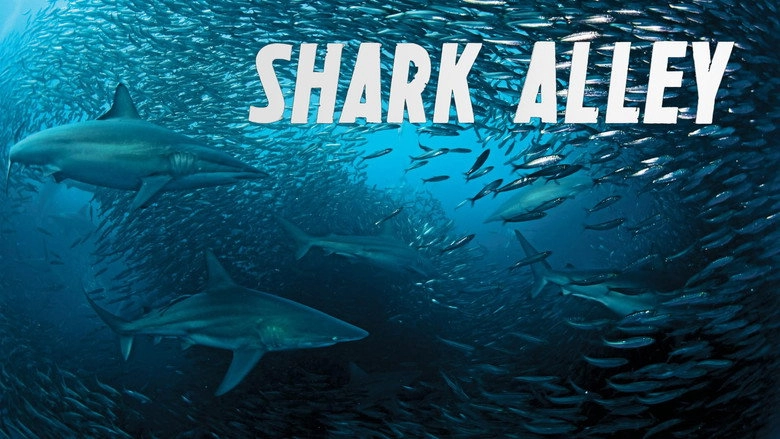 Shark Alley (2015)